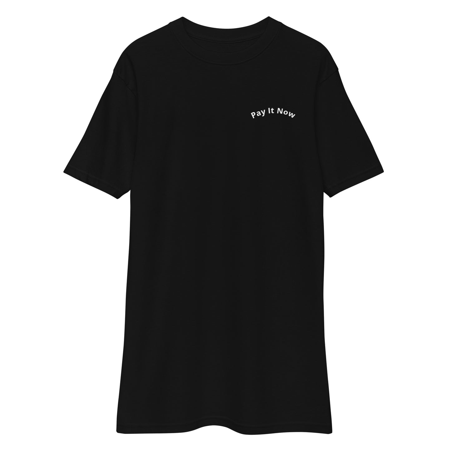 Men’s Pay It Now heavyweight t-shirt