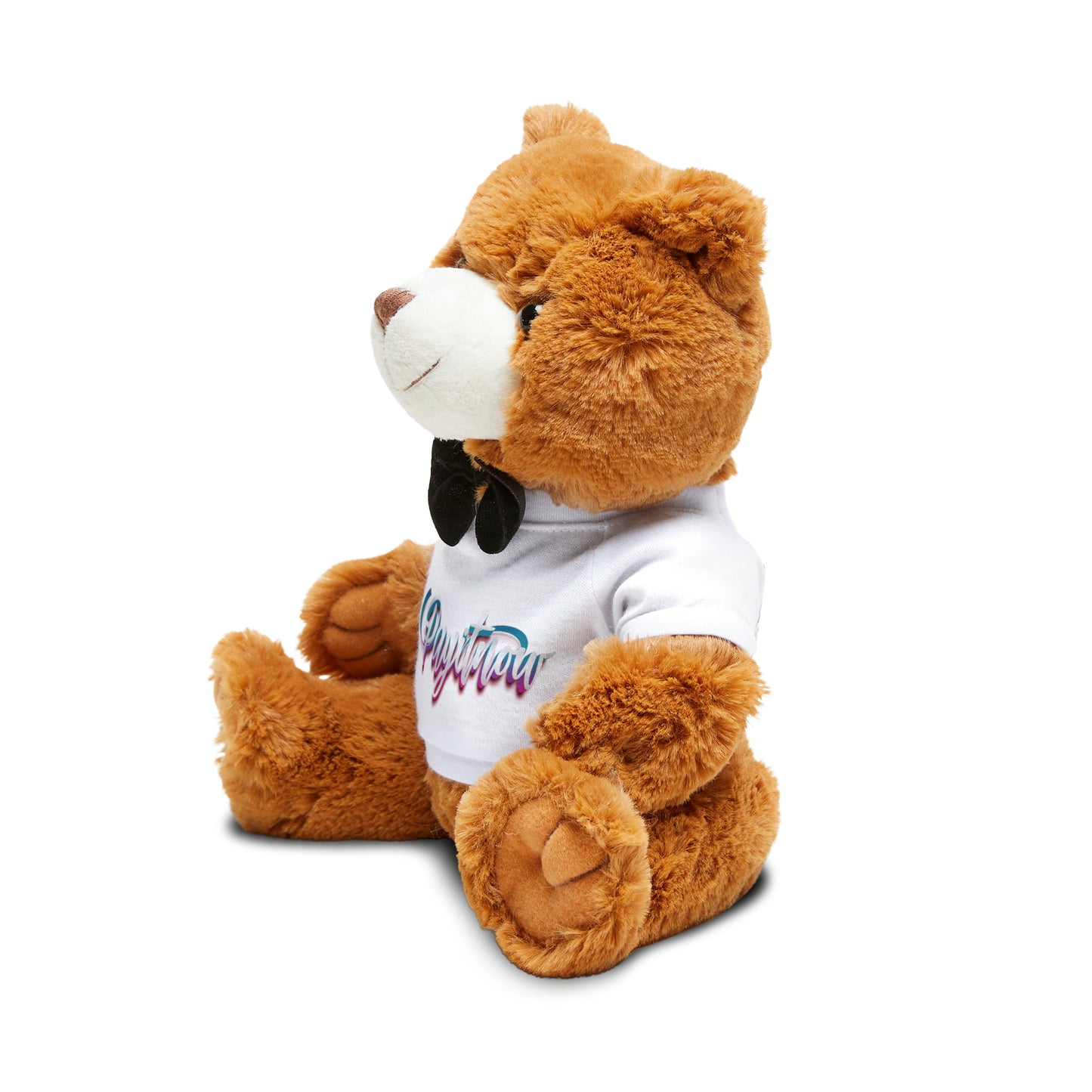 Teddy Bear with T-Shirt (Spraypaint)