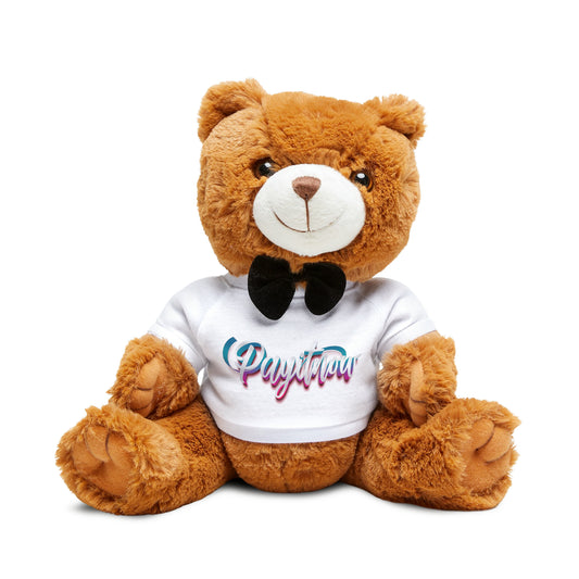 Teddy Bear with T-Shirt (Spraypaint)